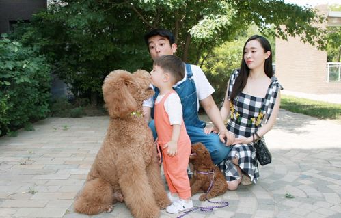 狗狗當“家教” 萌寵叼衣架監督小主人寫作業，神似操心老母親